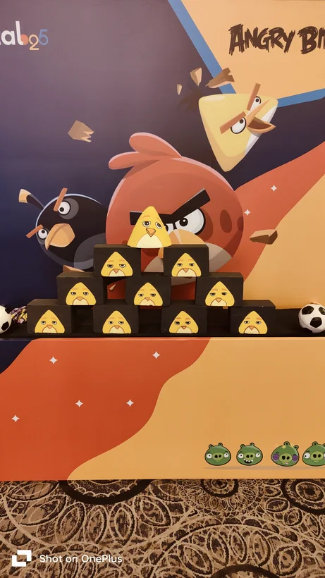 Angry Bird game target wall prepared for guests at a Lucknow celebration