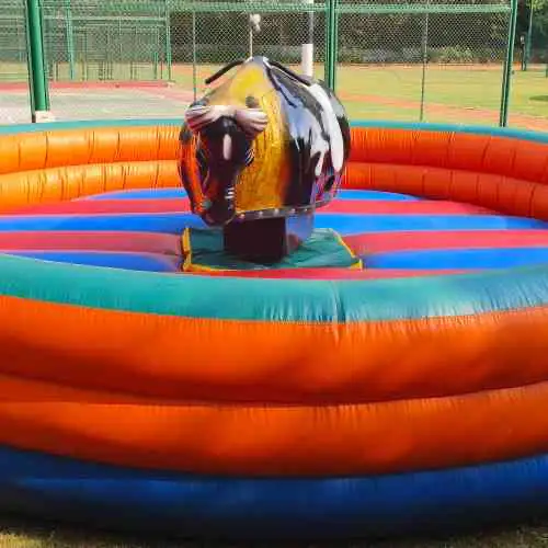 Bull Ride on Rent in Mumbai