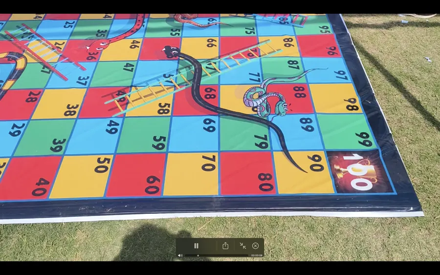 Jumbo snake ladder game for a Mumbai party