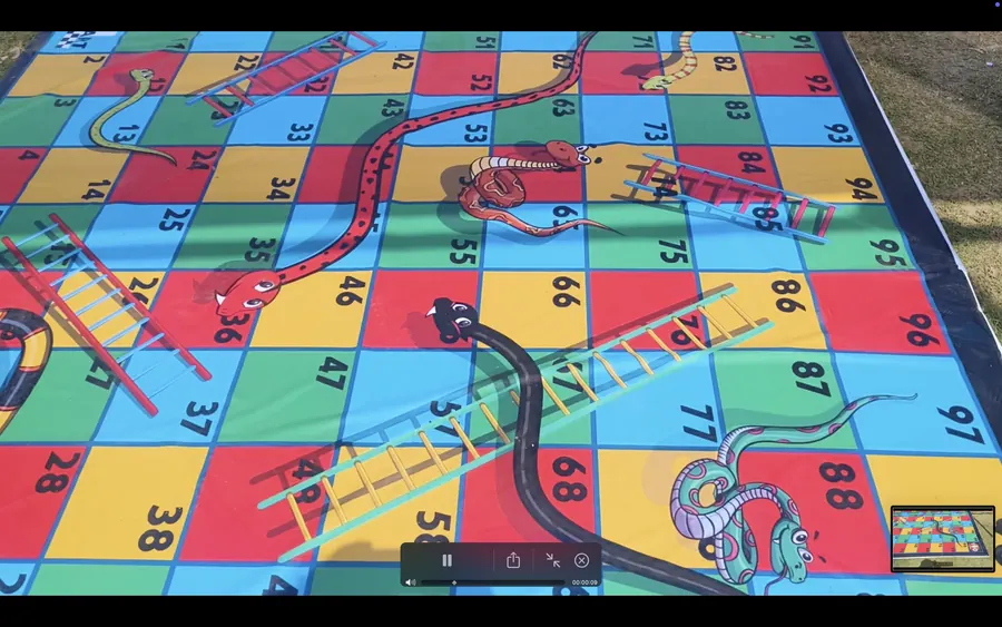 Large numbered snake and ladder floor mat